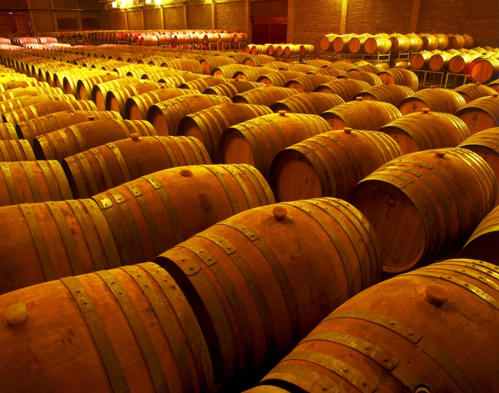 BAY51 series in wine cellar