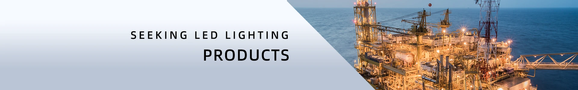 Explosion proof light