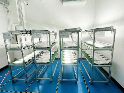 Aging testing-1