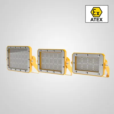 ZONE2,22 FL8 Explosion proof flood light