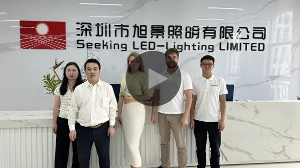 About Seekingled