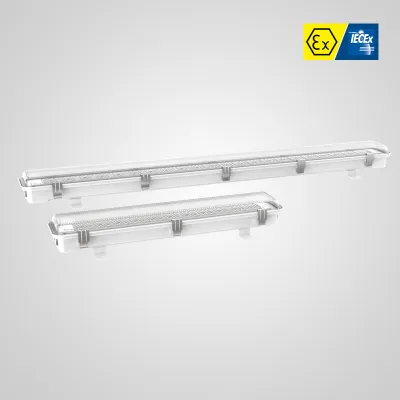 ZONE1,2,ZONE21,22 Explosion proof pendant light